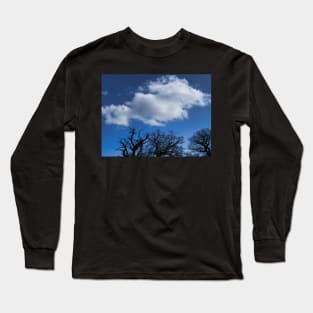 Blue Skies With Clouds And Winter Trees Without Leaves Long Sleeve T-Shirt